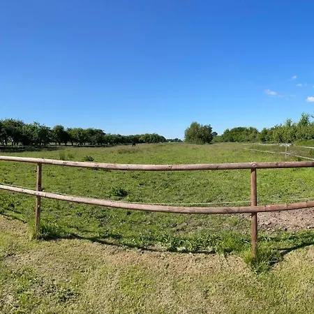 Huus-ritter In 公寓